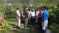 काजू के प्रोसेसिंग प्लांट लगाए जाने से लोगों को मिलेगा रोजगार : डीसी