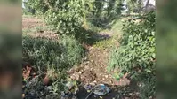 अरवल में पानी का इंतजार, हजारों एकड़ खेती पर मंडरा रहा संकट