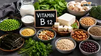 शरीर में Vitamin B12 की कमी? डाइट में शामिल करें ये शाकाहारी फूड्स, थकान और कमजोरी से मिलेगी राहत