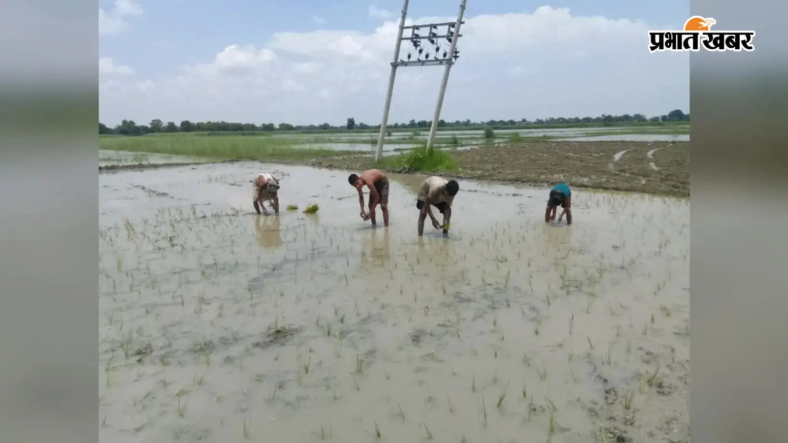 धान की रोपनी करते किसान धान की रोपनी करते किसान