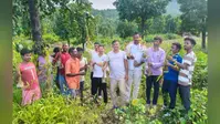 बांस के पौधों के विरोध में उतरे बांदरजलकोचा के ग्रामीण, फलदार वृक्ष लगाने की मांग