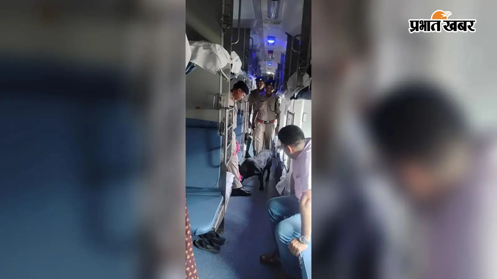 ट्रेनों में जांच करते आरपीएफ के अधिकारी ट्रेनों में जांच करते आरपीएफ के अधिकारी