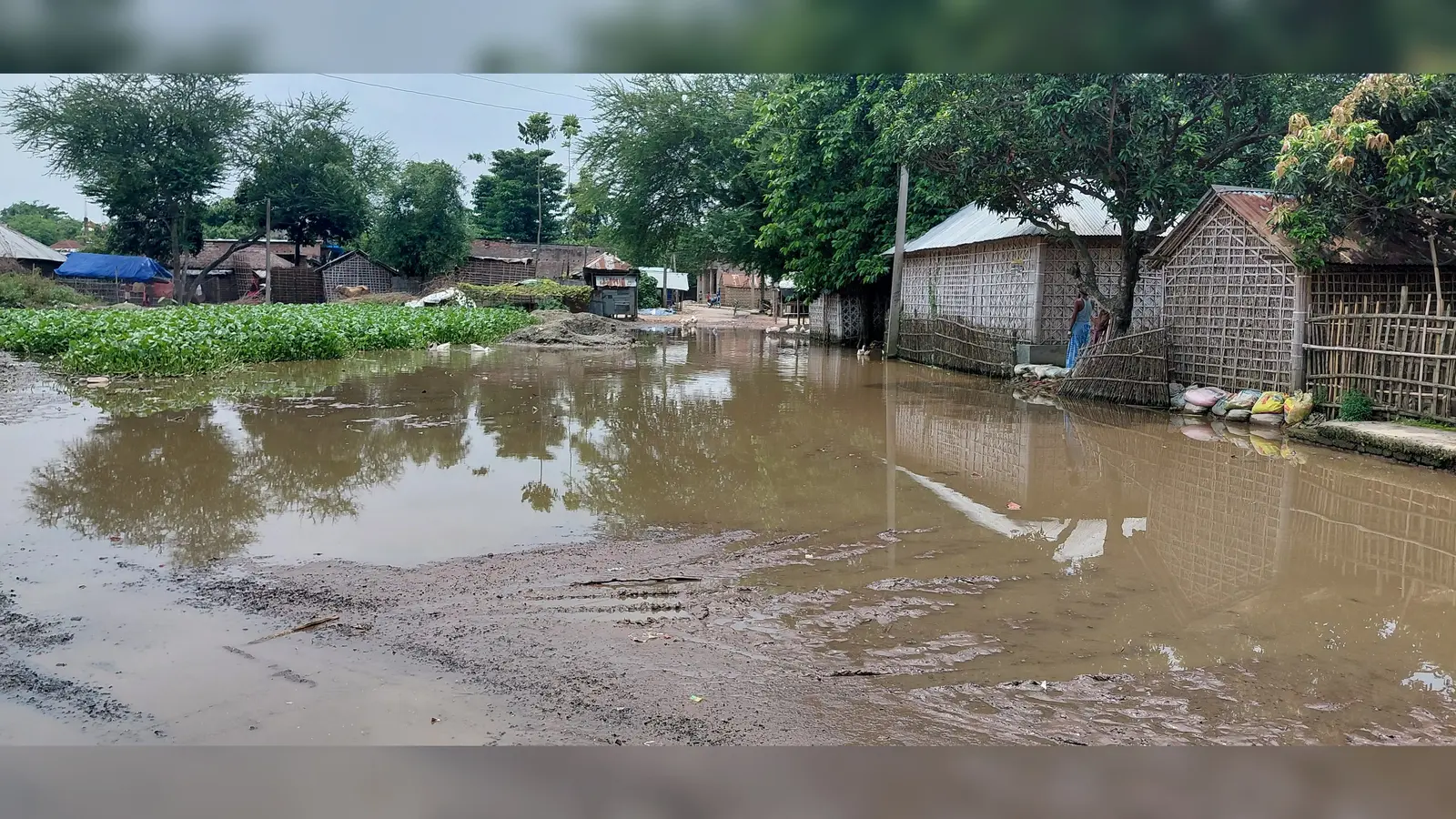 फोटो कैप्शन : विषहरिया पंचायत के मुख्य चौराहे पर लंबे समय से जमा पानी व फैली कीचड़ | Prabhat Khabar Network फोटो कैप्शन : विषहरिया पंचायत के मुख्य चौराहे पर लंबे समय से जमा पानी व फैली कीचड़ | Prabhat Khabar Network