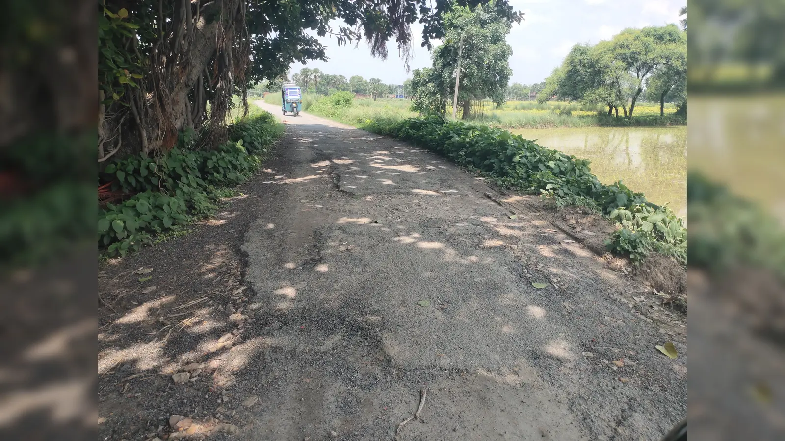 तेतरिया गांव जानेवाली जर्जर सड़क | Prabhat Khabar Network तेतरिया गांव जानेवाली जर्जर सड़क | Prabhat Khabar Network