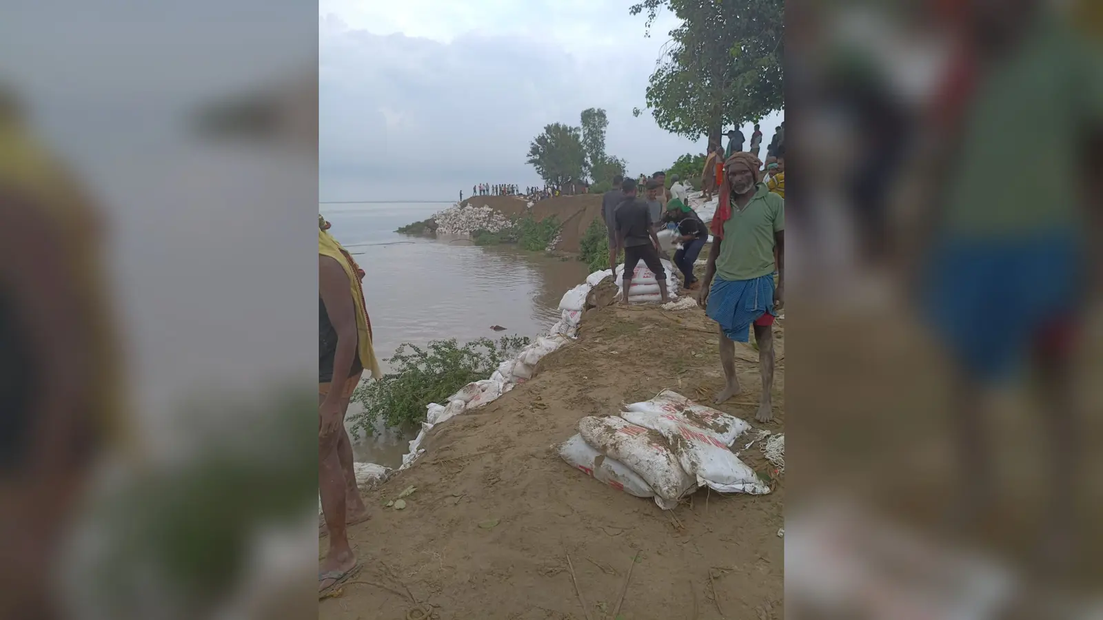 गोपालपुर राघोपुर में क्षतिग्रस्त तटबंध पर काम करते मजदूर | Prabhat Khabar Network गोपालपुर राघोपुर में क्षतिग्रस्त तटबंध पर काम करते मजदूर | Prabhat Khabar Network