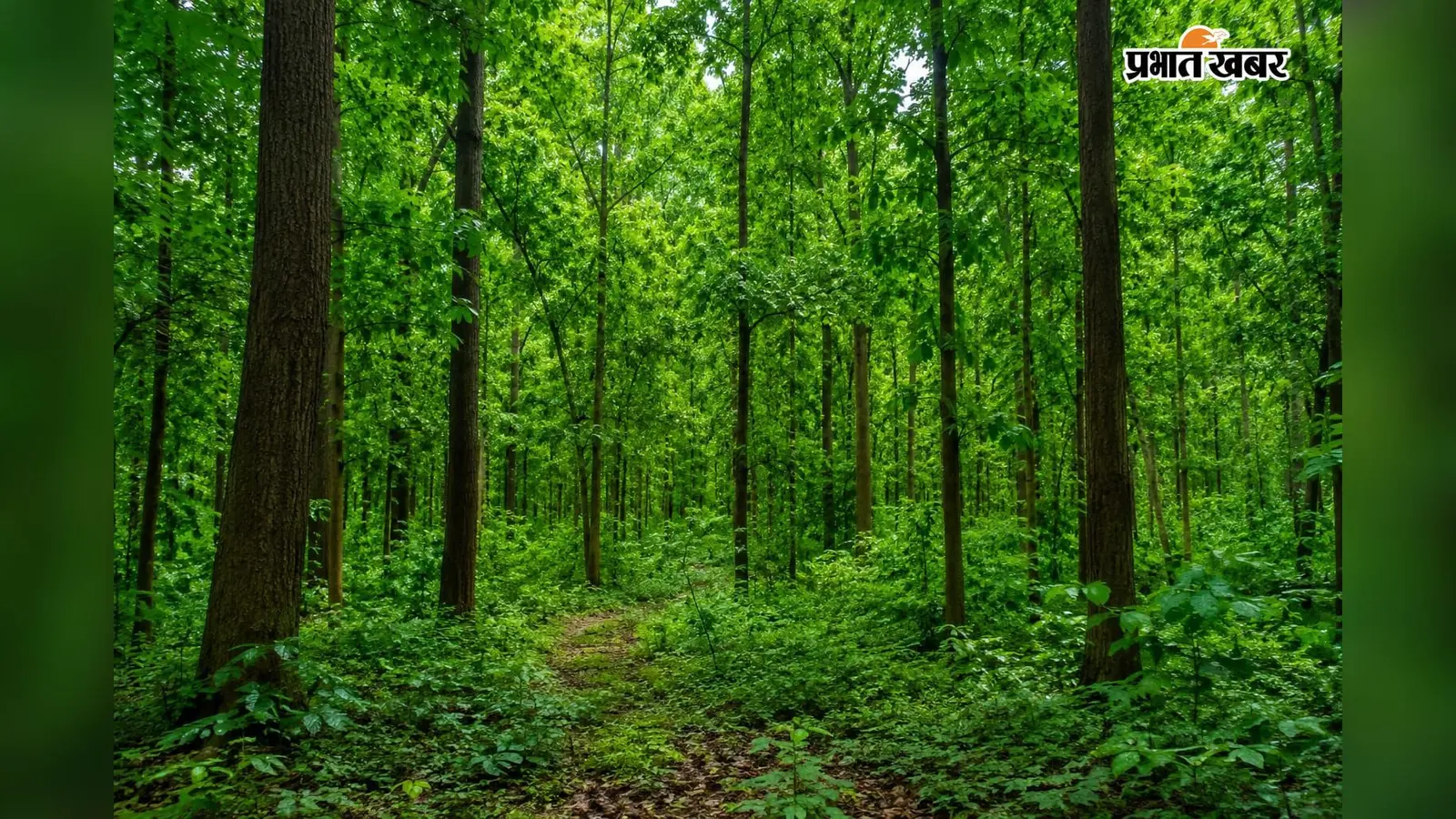 सांकेतिक तस्वीर (AI Image) सांकेतिक तस्वीर (AI Image)