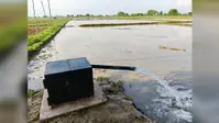 बक्सर में सूखने लगे चापाकल, धान की रोपनी के बीच गहराया जल संकट, किसानों की बढ़ी चिंता