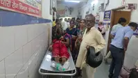 औरंगाबाद :  बेड में छिपे जहरीले सांप ने महिला को डसा, इलाज में देरी पड़ी भारी, हुई मौत