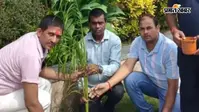 शेखपुरा गौशाला में चला ‘एक पेड़ मां के नाम’ अभियान, लोगों ने लगाए फलदार और छायादार पौधे
