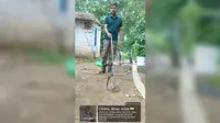 रोहतास: पॉल्ट्री फार्म में निकला जहरीला गेंहूमन, मचा हड़कंप, वन विभाग ने सुरक्षित किया रेस्क्यू