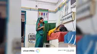 जमुई में 12 घंटे में छह लोगों को सांप ने डसा, एक महिला की हालत गंभीर, डॉक्टरों ने जारी की चेतावनी