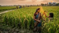 धान की हरियाली से लहलहाई धरती, 80 फीसदी कृषि भूमि पर पूरी हुई रोपाई