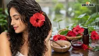 मानसून में रूखे और उलझे Curly Hair को बना सकते हैं सिल्की, इस तरह करें गुड़हल का इस्तेमाल