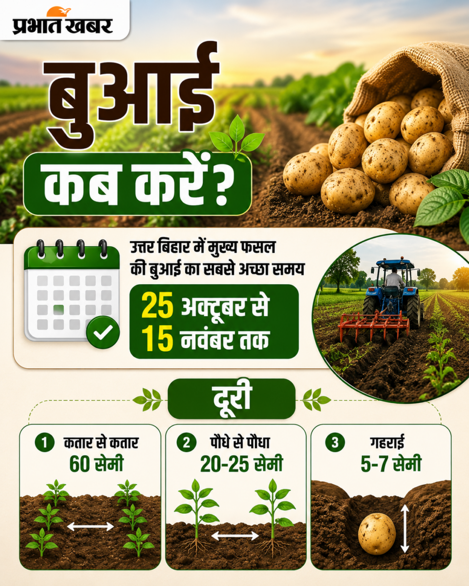आलू की खेती से लाखों कमाना चाहते हैं? कृषि वैज्ञानिक ने बताए बंपर मुनाफे के आसान तरीके 4 Chatgpt Image Jul 5 2026 11 18 03 Am