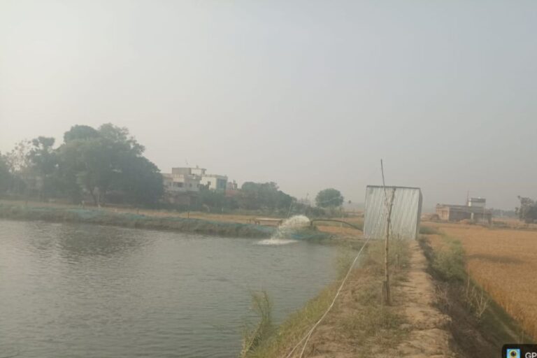 नालंदा : मत्स्य पालन से युवाओं को मिलेगा रोजगार, सरकार दे रही 60% तक अनुदान और हैचरी योजना का लाभ
