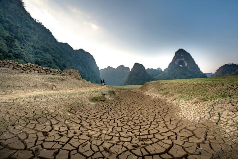 झारखंड के 12 जिलों पर सूखे का साया, अब तक हुई 54% कम बारिश 