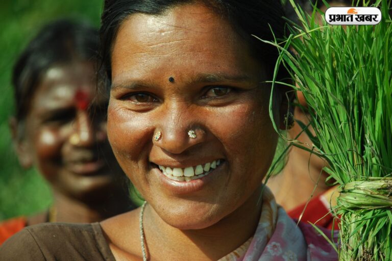फसल खराब हुई तो सिर्फ 65 रुपये में मिलेगा 65,000 रुपये तक का बीमा, आवेदन से पहले जान लें ये नियम