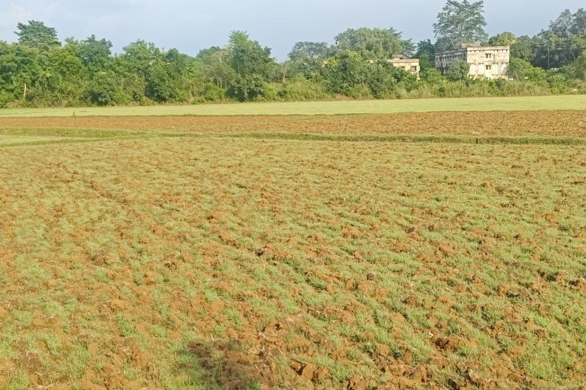 Seraikela Kharsawan Monsoon 1