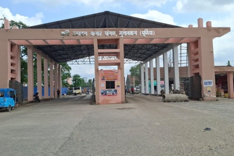 गुलाबबाग मंडी में गर्म रहा मक्का का बाजार, तेज रही आवक की रफ्तार, कारोबार को मिली नयी उड़ान