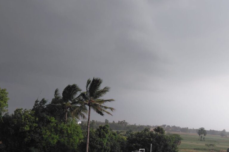 जमुई में झमाझम बारिश से मौसम हुआ सुहाना, लोगों को मिली भीषण गर्मी से बड़ी राहत