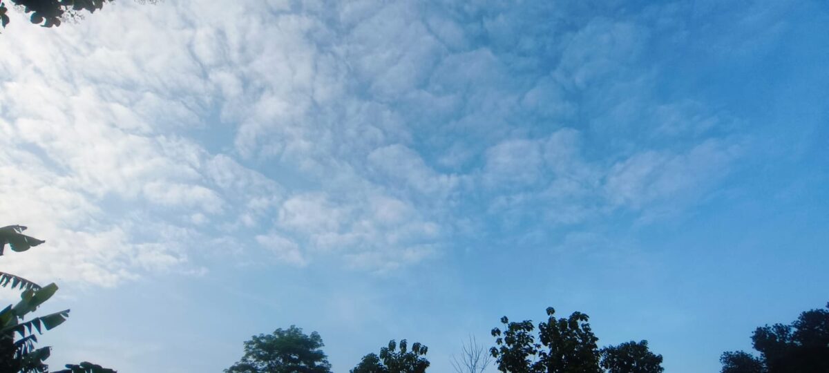 Bfe1C67D Efdf 468E 8004 6C6D7Cde12E7