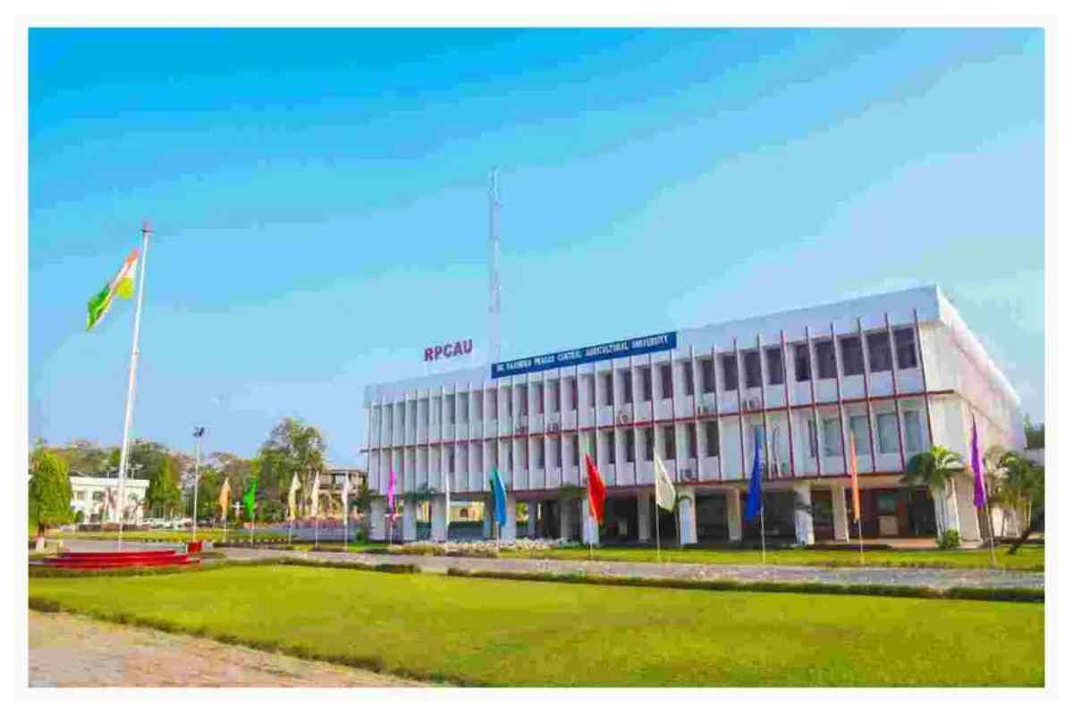 औषधीय मशरूम की खेती से हर महीने 40 हजार तक कमाई, पूसा विश्वविद्यालय देगा मुफ्त प्रशिक्षण 1 Bihar Mushroom Farming Rpcau Pusa Women Self Employment 1