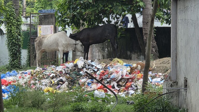 सदर अस्पताल बना बीमारियों का गढ़, ऑक्सीजन प्लांट के पास खुले में फेंका जा रहा बायोमेडिकल कचरा