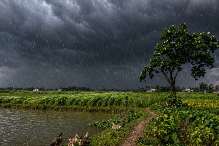 बिहार में आज से शुरू होगा हेवी रेन का दौर, इन 16 जिलों में आंधी-तूफान के साथ भारी बारिश की चेतावनी