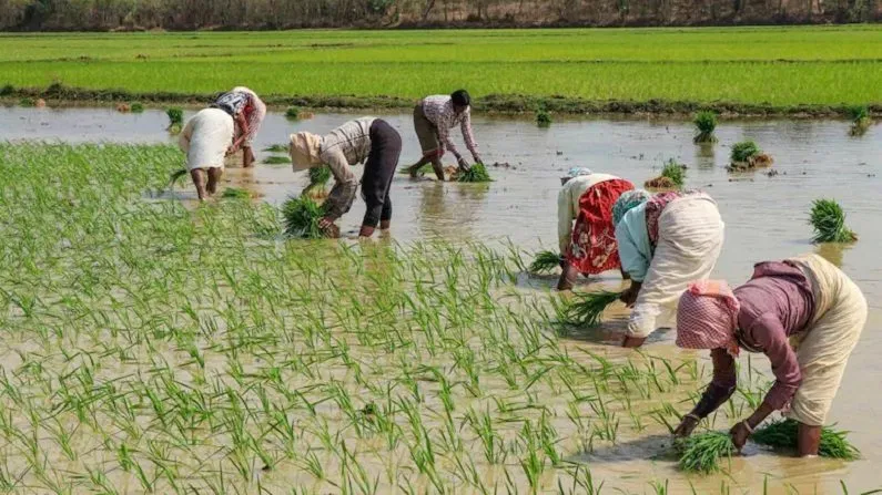 सीवान में आज कैसा रहेगा मौसम? बारिश और वज्रपात को लेकर अलर्ट 3 Image 258