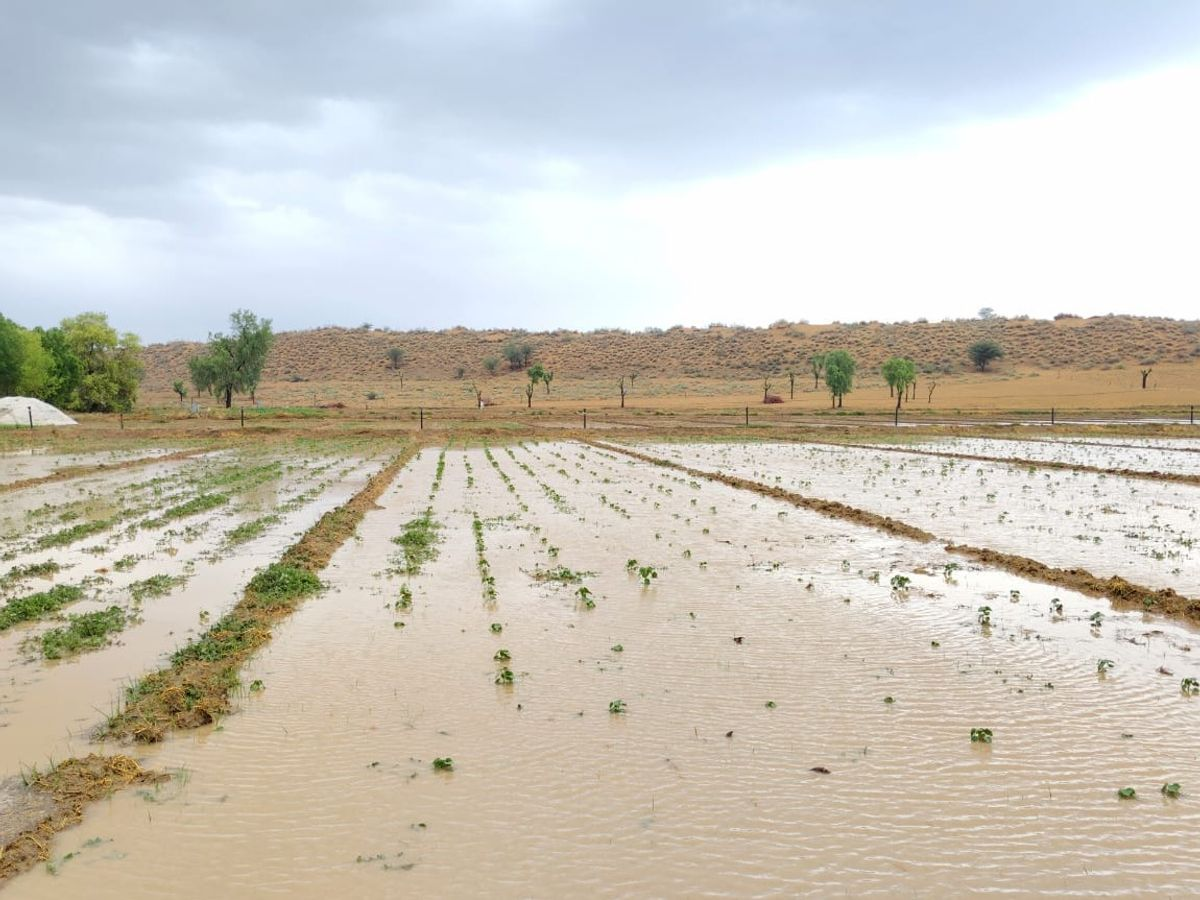 वैशाली में बदला मौसम का मिजाज, काले बादलों और ठंडी हवाओं से लोगों को राहत, किसानों में जगी नई उम्मीद 1 Image 259