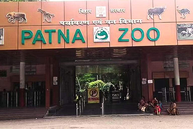 पटना जू में आने वाले हैं तीन नए मेहमान, बच्चों के साथ घूमने की कर लें तैयारी, मैसूर से आ रहा है जिराफ