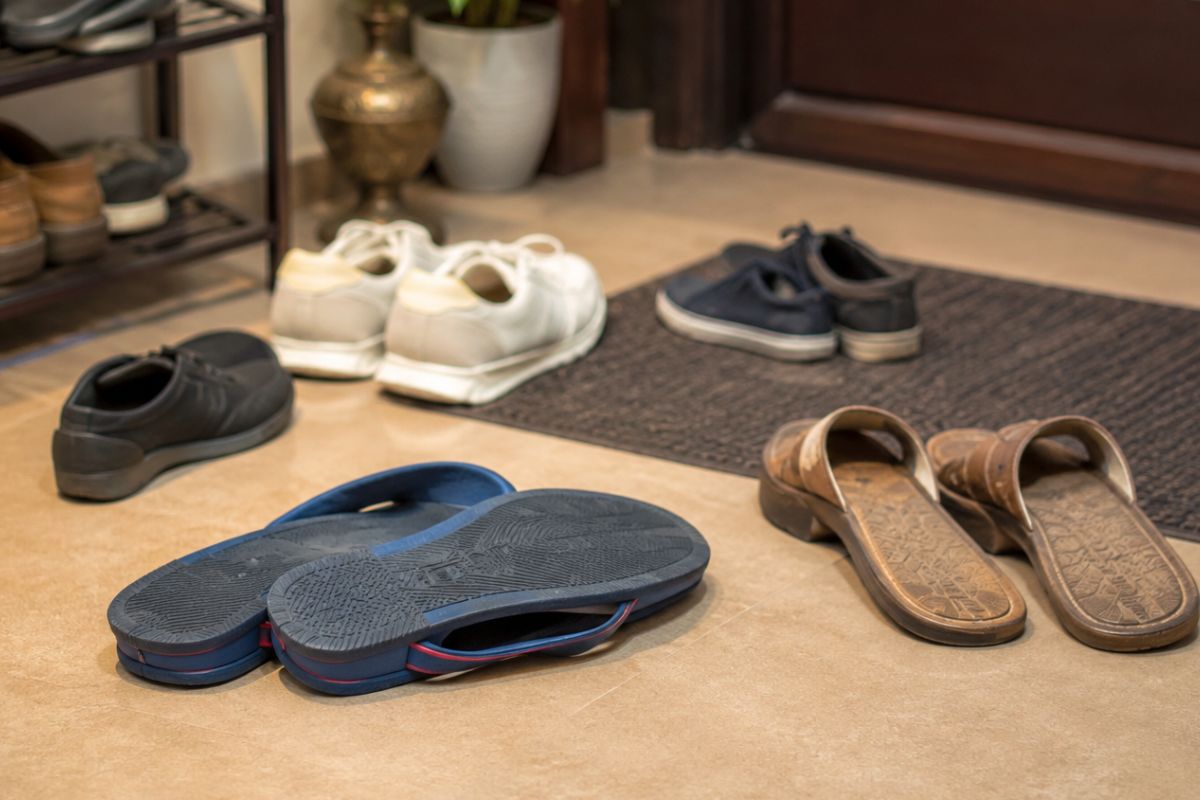 Vastu For Shoes And Chapal 2