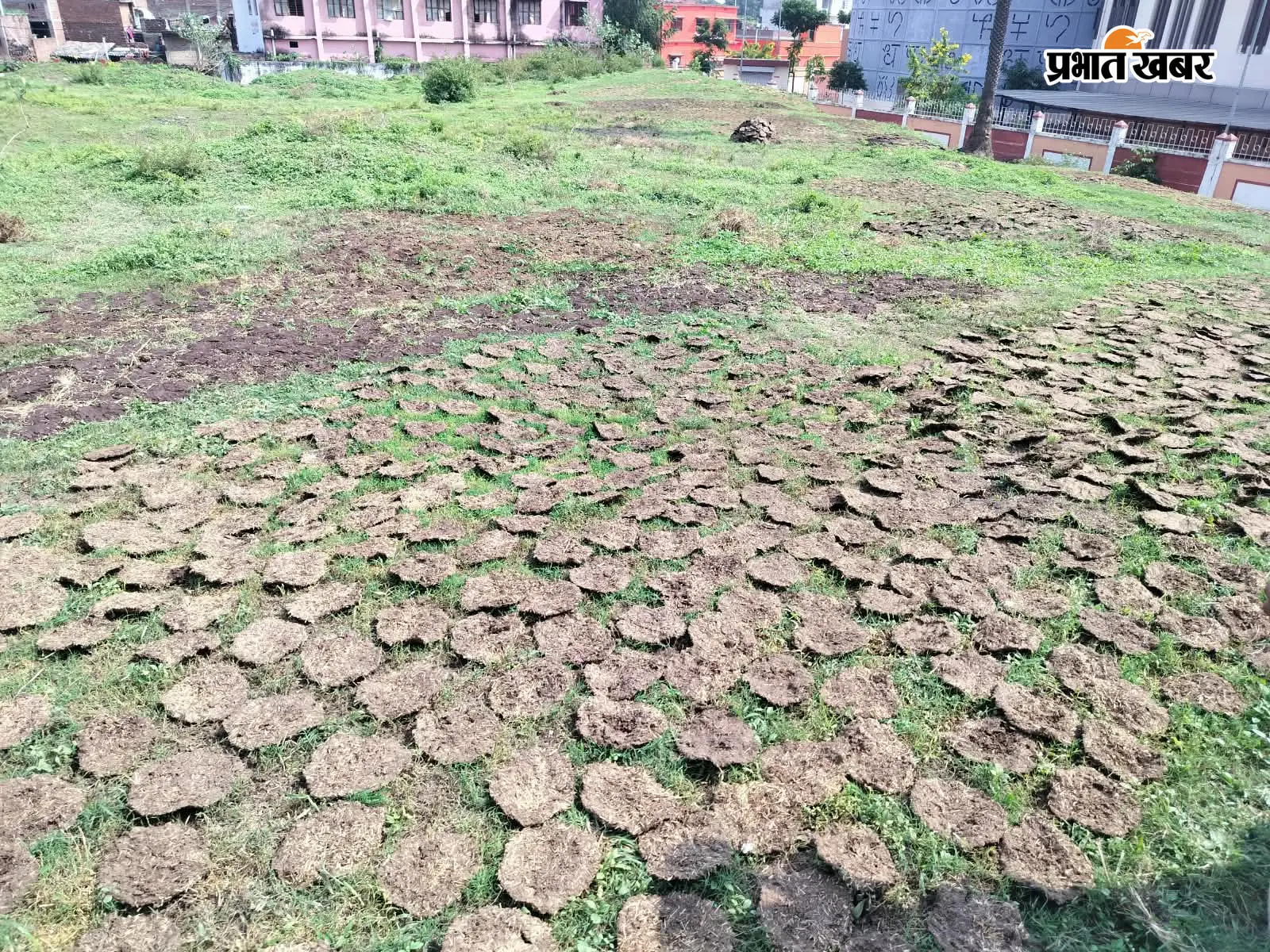 फोटो - बच्चों द्वारा संग्रहालय में पहुंचायी गयी भगवान बुद्ध की खंडित प्रतिमा फोटो - संग्रहालय में पहुंची प्रतिमा  फोटो - बालगुदर टीले मिट्टी कटाव का दृश्य  फोटो -संरक्षण के अभाव में राजकीय पुरातात्विक स्थल बालगुदर टीले पर ग्रमीणों द्वारा बिछाये गये गोबर के उपले | Prabhat Khabar Network