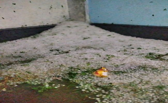 Weather Forecast Update: झारखंड-बिहार में बदला मौसम का मिजाज, कई इलाकों में जोरदार बारिश, जानें अन्य राज्यों में कैसा रहेगा मौसम का हाल