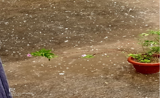 Weather Forecast, 5 May 2020 Update : मौसम विभाग ने देश के कई इलाकों में बारिश और ओलावृष्टि को लेकर किया अलर्ट, जानिए लेटेस्ट वेदर अपडेट