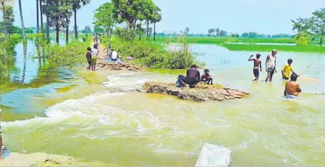 Bihar Flood Updates: सैकड़ों घरों में घुसा बलान नदी का पानी, NH-28 पर पहुंचे दर्जनों परिवार 