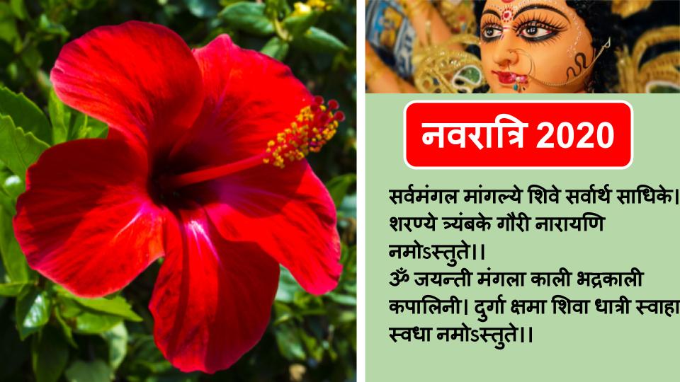 Happy Navratri 2020 Wishes, Quotes, Images : या देवी सर्वभूतेषु... नवरात्रि की शुभकामना संदेश यहां से अपने सगे संबंधियों को भेजें