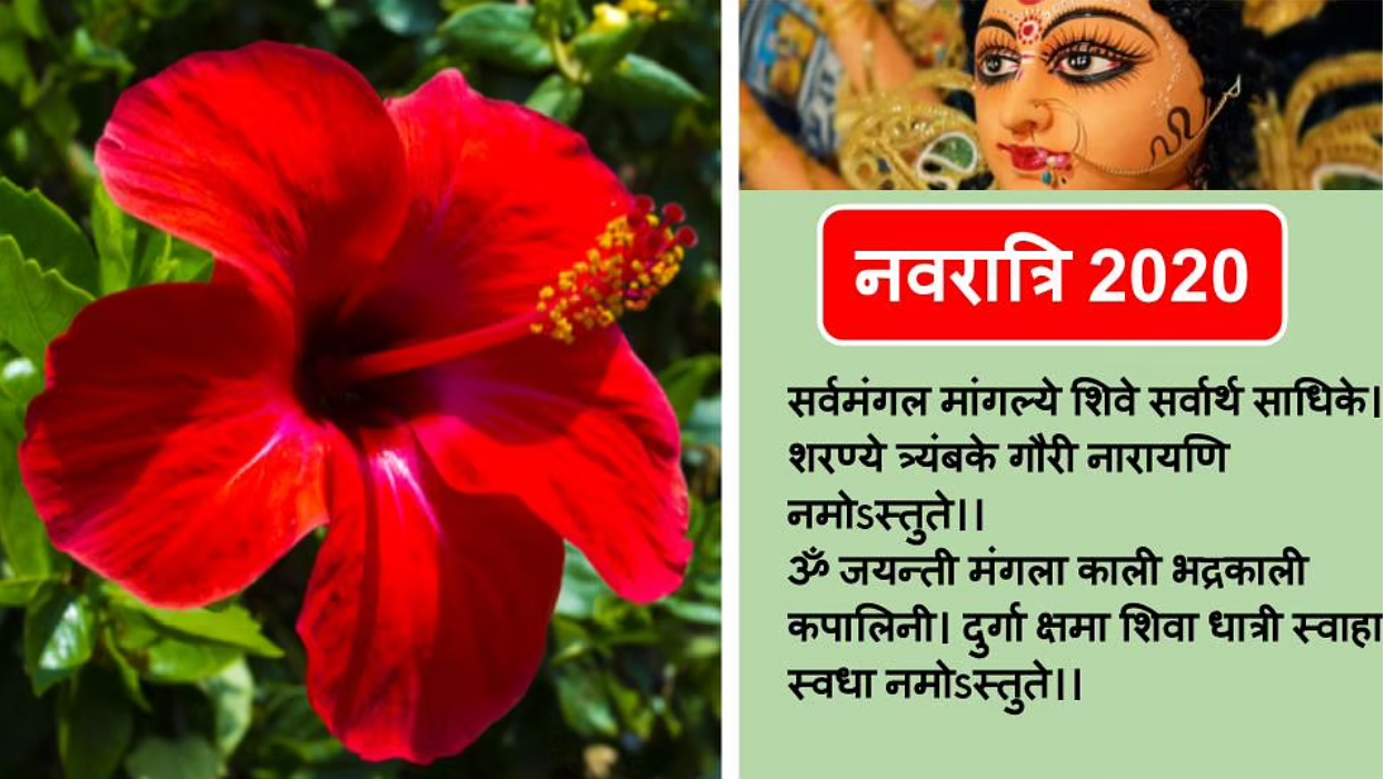 Happy Durga Ashtami 2020 Wishes, Quotes, Images : या देवी सर्वभूतेषु... महाअष्टमी पर अपनों को यहां से भेजें ढेर सारी शुभकामना भरे संदेश