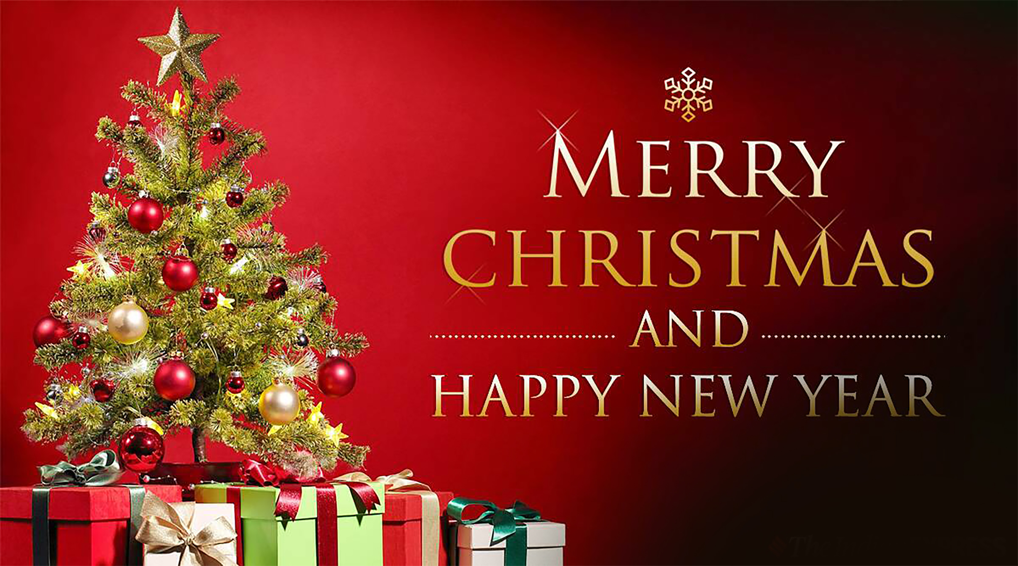 Merry Christmas Day 2020: तारों ने आसमां को सजाया है, लेकर तोहफा अमन और प्यार का..क्रिसमस पर यहां से अपने दोस्तों और रिश्तेदारों को भेजें ढेर सारी शुभकामनाएं