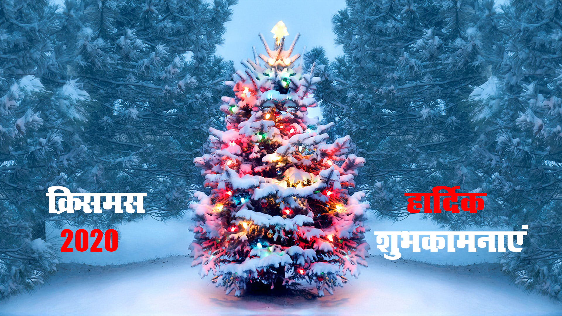 Christmas 2020 Wishes, Images, Quotes, Greetings: रब ऐसी क्रिसमस बार-बार लाए...क्रिसमस पर अपनों को यहां से भेजें शुभकामनाएं और प्रभु यीशु के संदेश