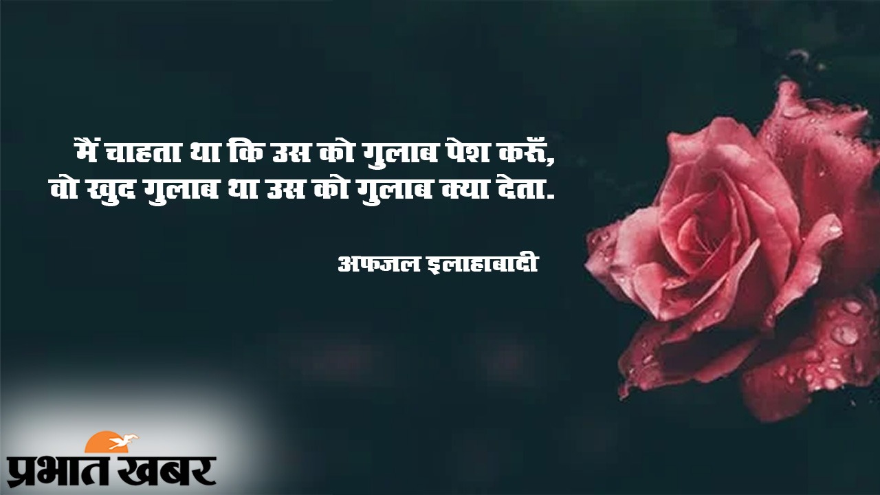 Happy Rose Day 2021 Wishes, Images, Quotes, Shayari, Messages, Status: दिखती हैं हीर की तरह..दिल में चुभती हैं तीर की तरह...रोज डे पर अपने क्रश को भेजें शायरी, मैसेज, स्टेट्स