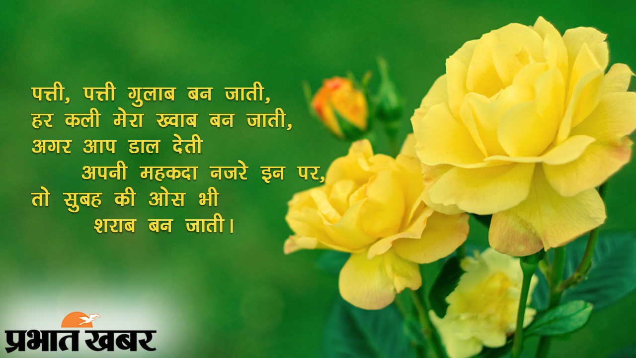 Happy Rose Day 2021 Wishes, Images, Quotes, Shayari, Messages, Status: दिखती हैं हीर की तरह..दिल में चुभती हैं तीर की तरह...रोज डे पर अपने क्रश को भेजें शायरी, मैसेज, स्टेट्स