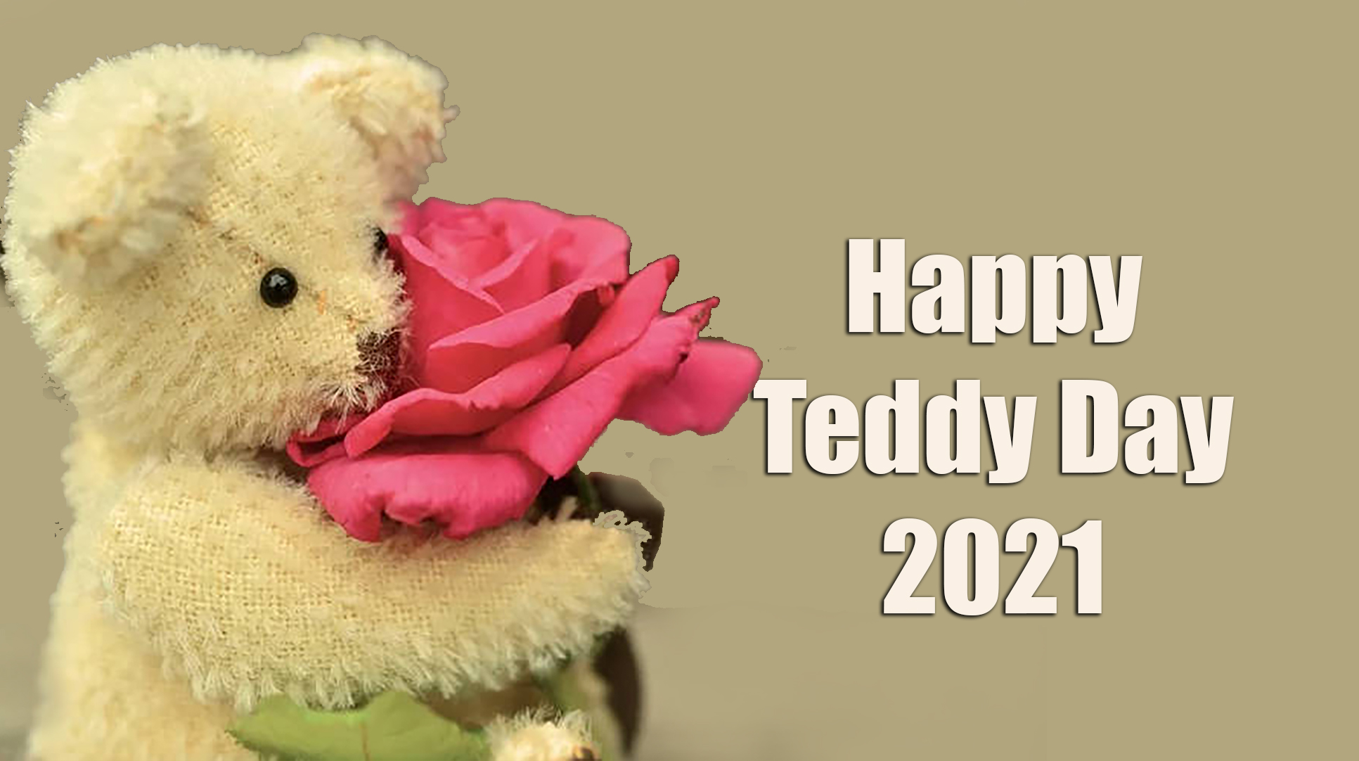 Happy Teddy Day 2021 Wishes, Quotes, Messages, Shayari, Images: हम तो हर Teddy में वो ही नजर आते है…यहां से भेजें टेडी डे की ढेर सारी शुभकामनाएं