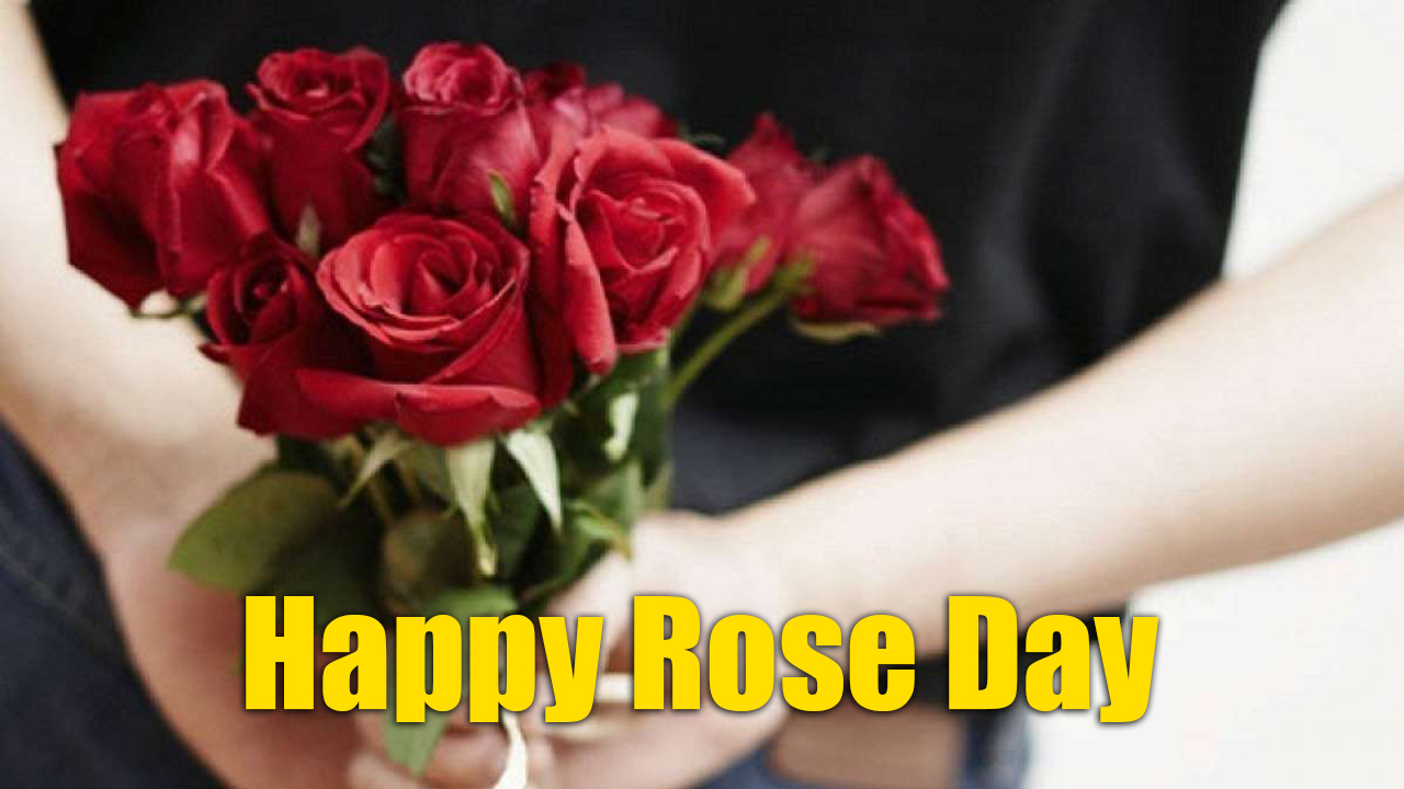 Happy Rose Day 2021 Wishes, Images, Quotes, Shayari, Messages, Status: दिखती हैं हीर की तरह..दिल में चुभती हैं तीर की तरह...रोज डे पर अपने क्रश को भेजें शायरी, मैसेज, स्टेट्स