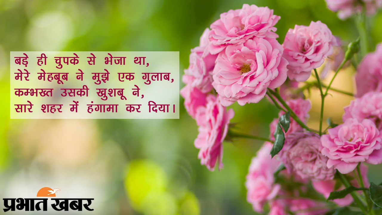 Happy Rose Day 2021 Wishes, Images, Quotes, Shayari, Messages, Status: दिखती हैं हीर की तरह..दिल में चुभती हैं तीर की तरह...रोज डे पर अपने क्रश को भेजें शायरी, मैसेज, स्टेट्स