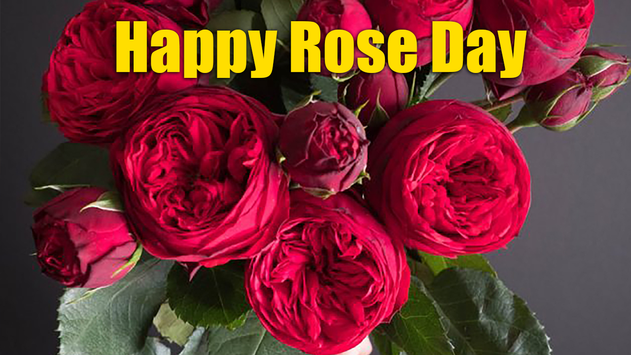 Happy Valentine Week 2021, Wishes, Messages, Images, Quotes, Status: अब तो शाम-ओ-सहर मुझे रहता हैं बस खयाल तेरा...अपने प्यार को यहां से भेजें एक से बढ़कर एक मैसेज