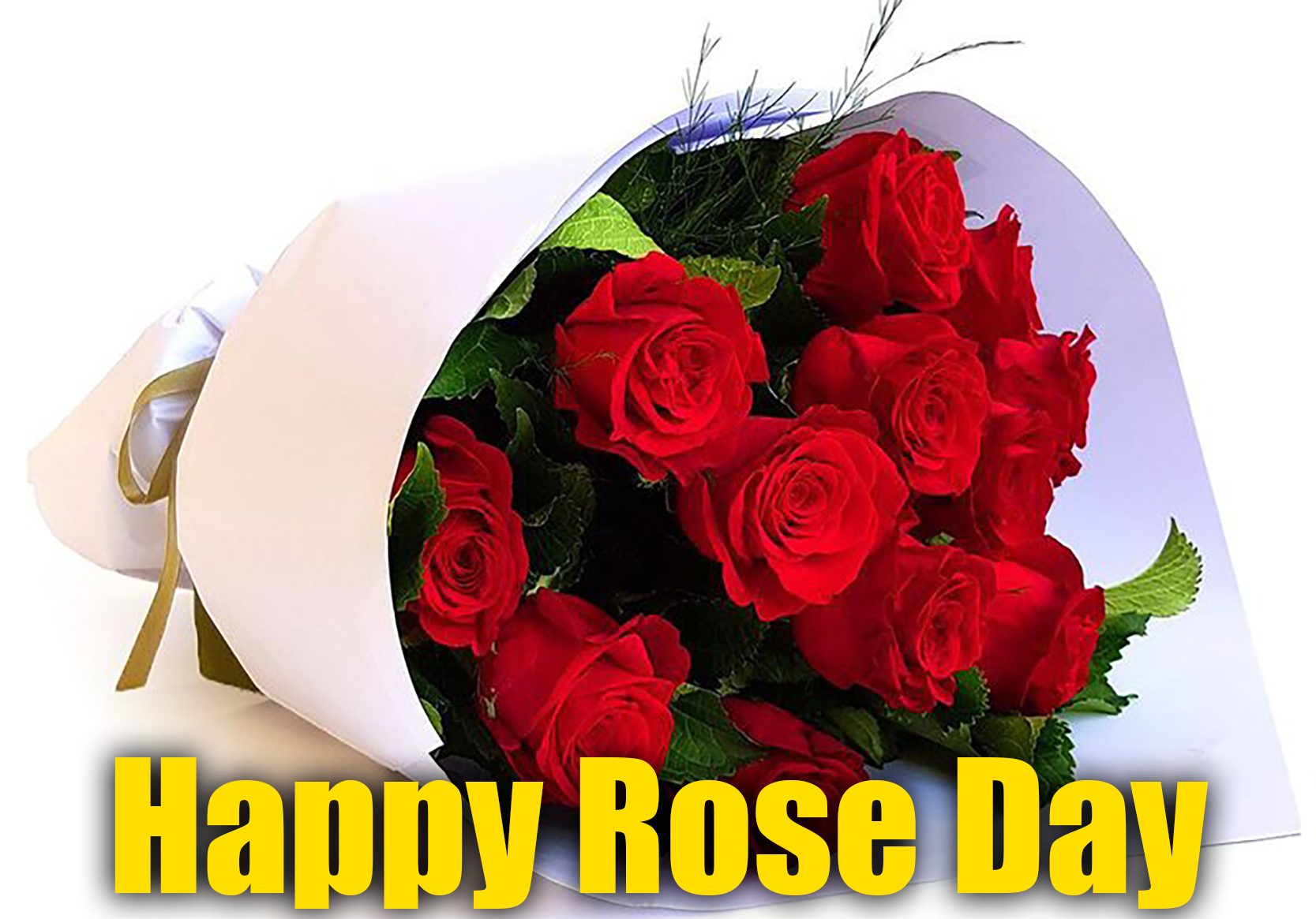 Happy Rose Day 2021 Wishes, Images, Quotes, Shayari, Messages, Status: दिखती हैं हीर की तरह..दिल में चुभती हैं तीर की तरह...रोज डे पर अपने क्रश को भेजें शायरी, मैसेज, स्टेट्स