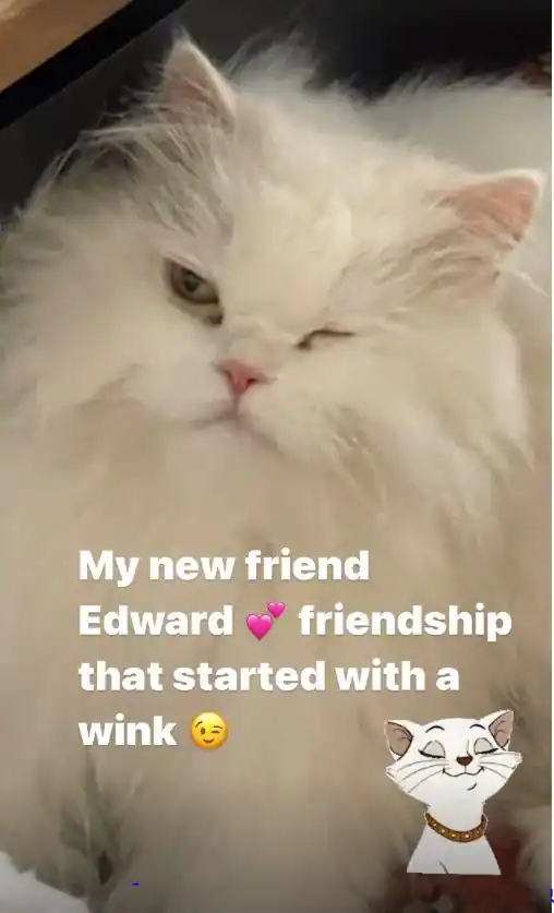 Bollywood & TV LIVE Updates : कोरोना के खिलाफ मैदान में उतरे गुरमीत चौधरी, आम लोगों के लिए खोलेंगे अस्पताल