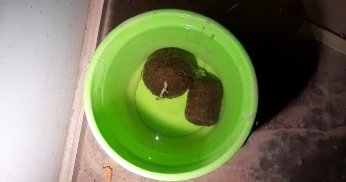 बंगाल चुनाव 2021 Phase 3 Voting: तीन जिलों की 31 सीटों पर करीब 80 फीसदी मतदान, चौथे चरण की वोटिंग 10 अप्रैल को