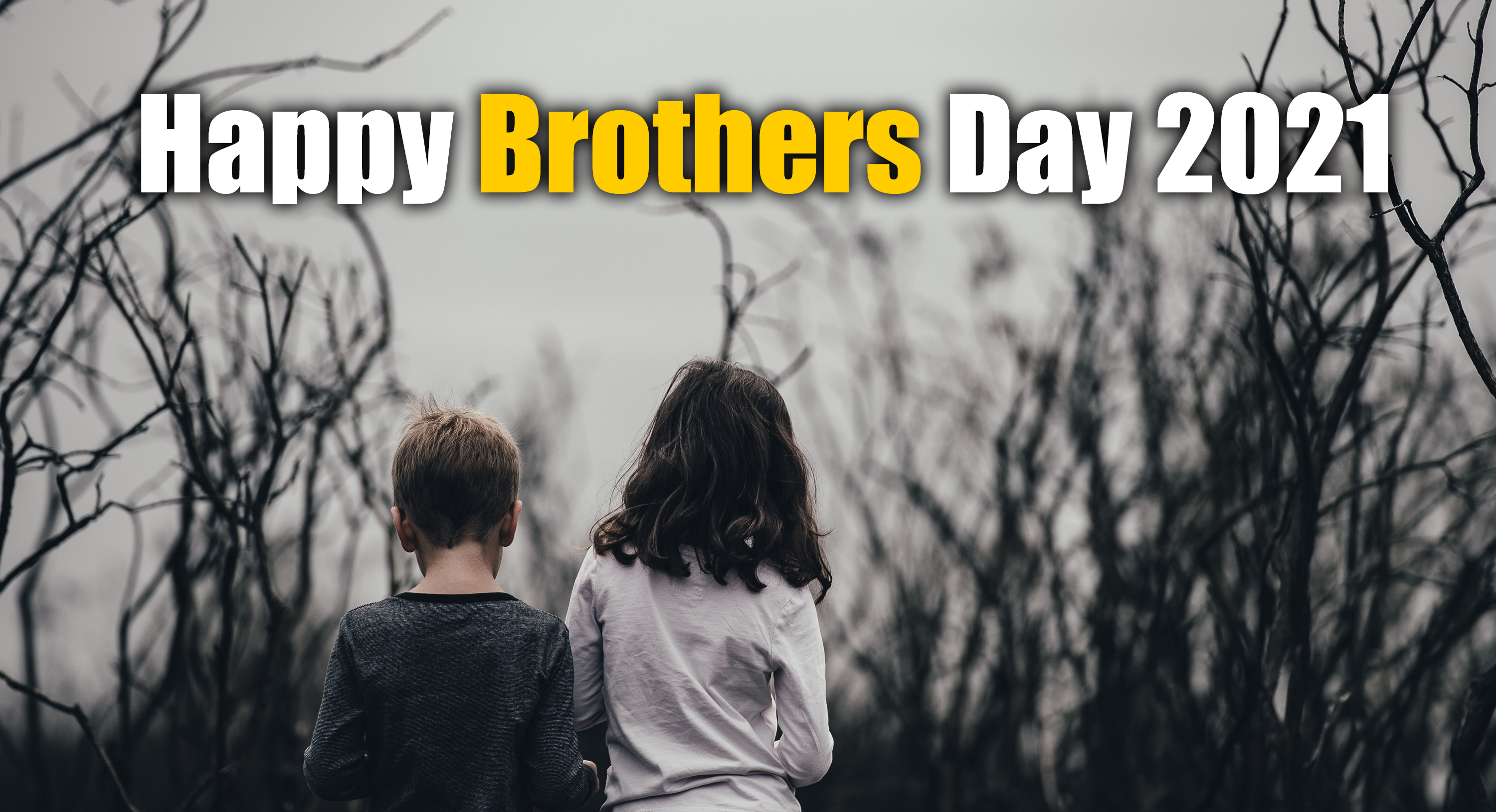 Happy Brothers Day Wishes, Images, Quotes, Status: भगवान से मांगा था एक भाई,
लेकिन दे दिया...ब्रदर्स डे पर अपने भाईयों को यहां से भेजें एक से बढ़कर शुभकामनाएं
